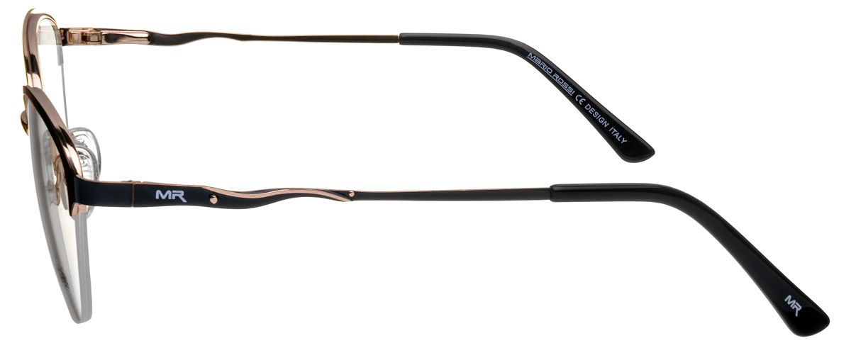 Mario Rossi 12201 17