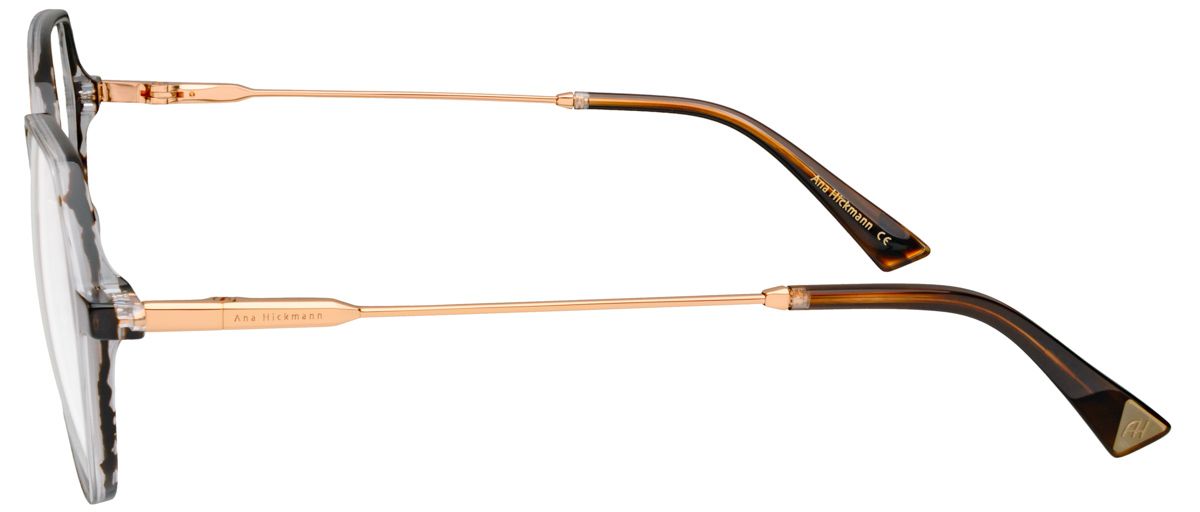 Ana Hickmann 6439 E01