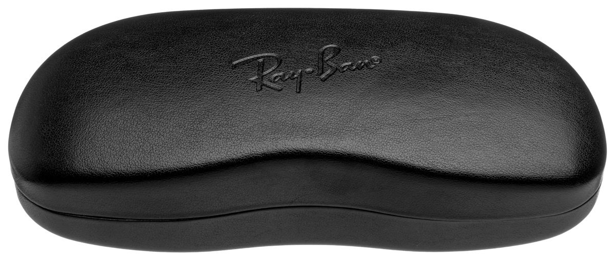 Ray Ban 6509 2500